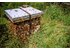 hive 2_2.jpg